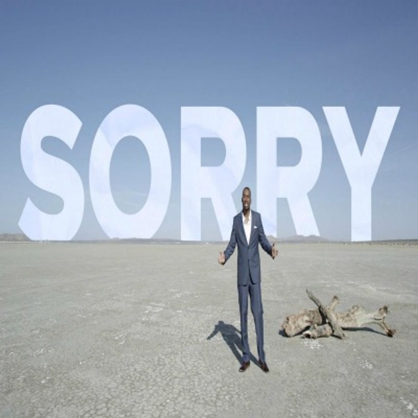 Dear Future Generations Sorry episode artwork