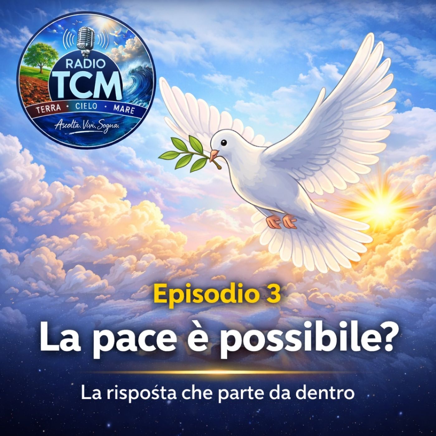 La pace è possibile? episode artwork
