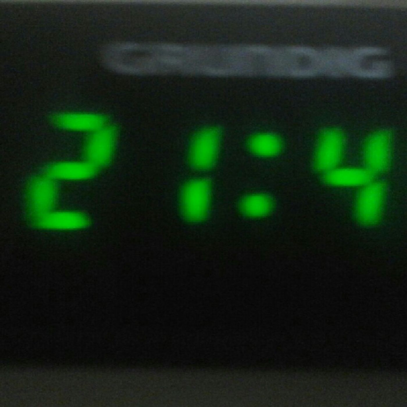 Radio Susedgrad's show
