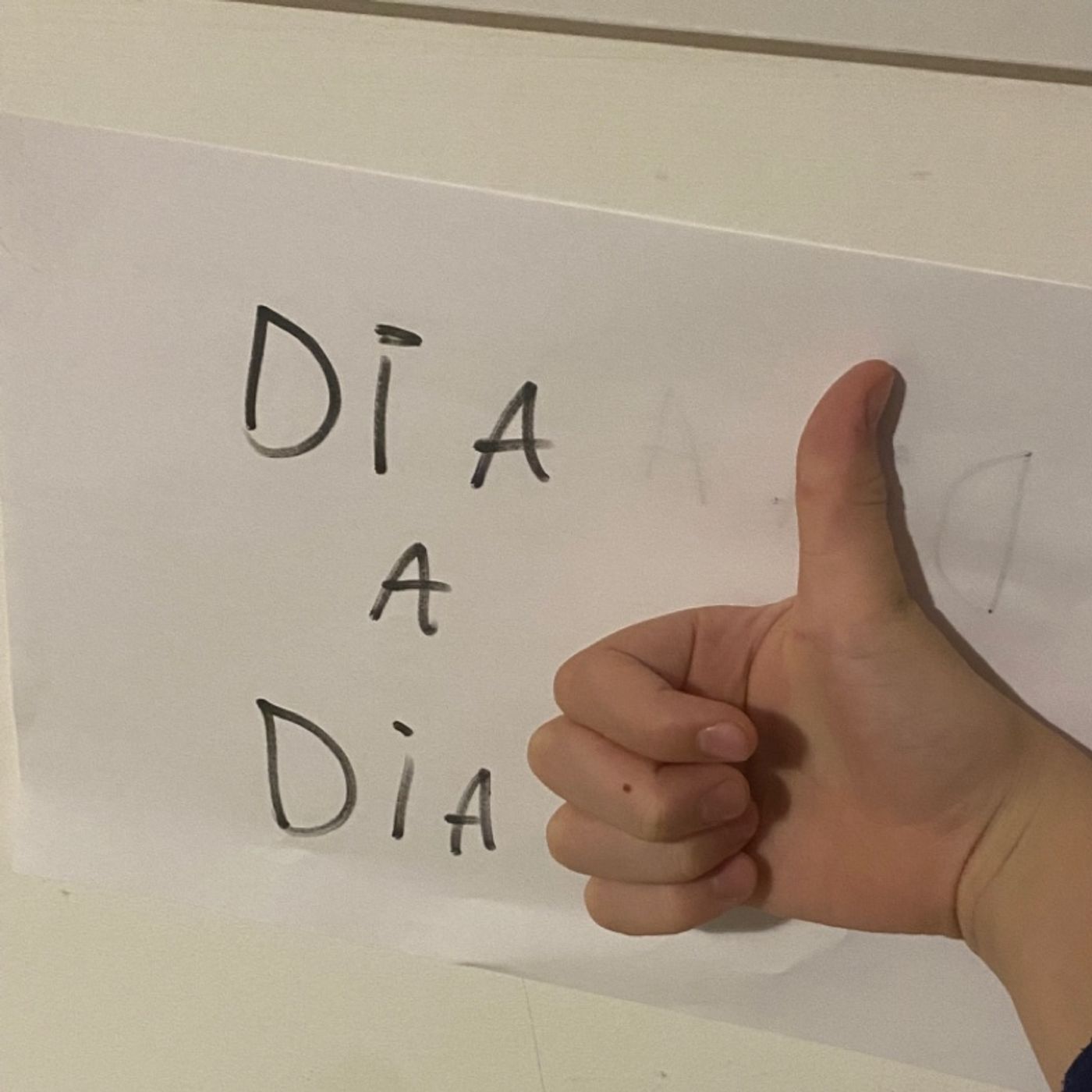 Dia A Dia