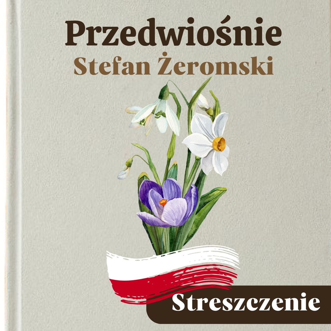 Przedwiośnie. Stefan Żeromski. Streszczenie, bohaterowie, problematyka episode artwork