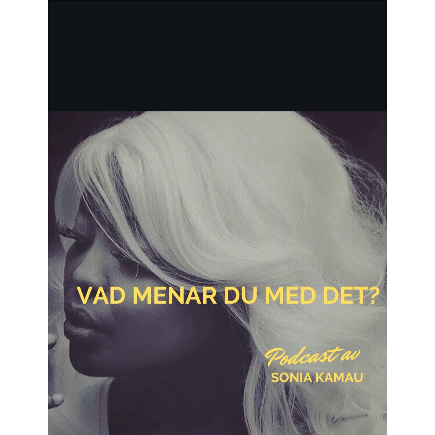 Vad Menar Du Med Det? cover