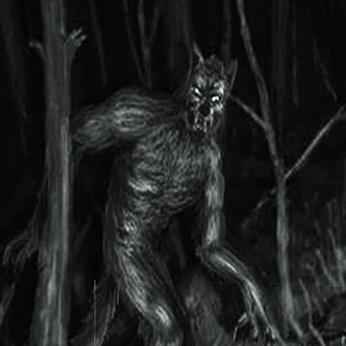 Nahuales En La Ciudad De México Historias De Terror - REDE