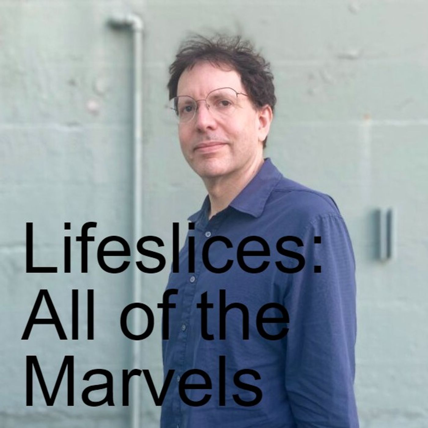 Lifeslices with Steve Fisher