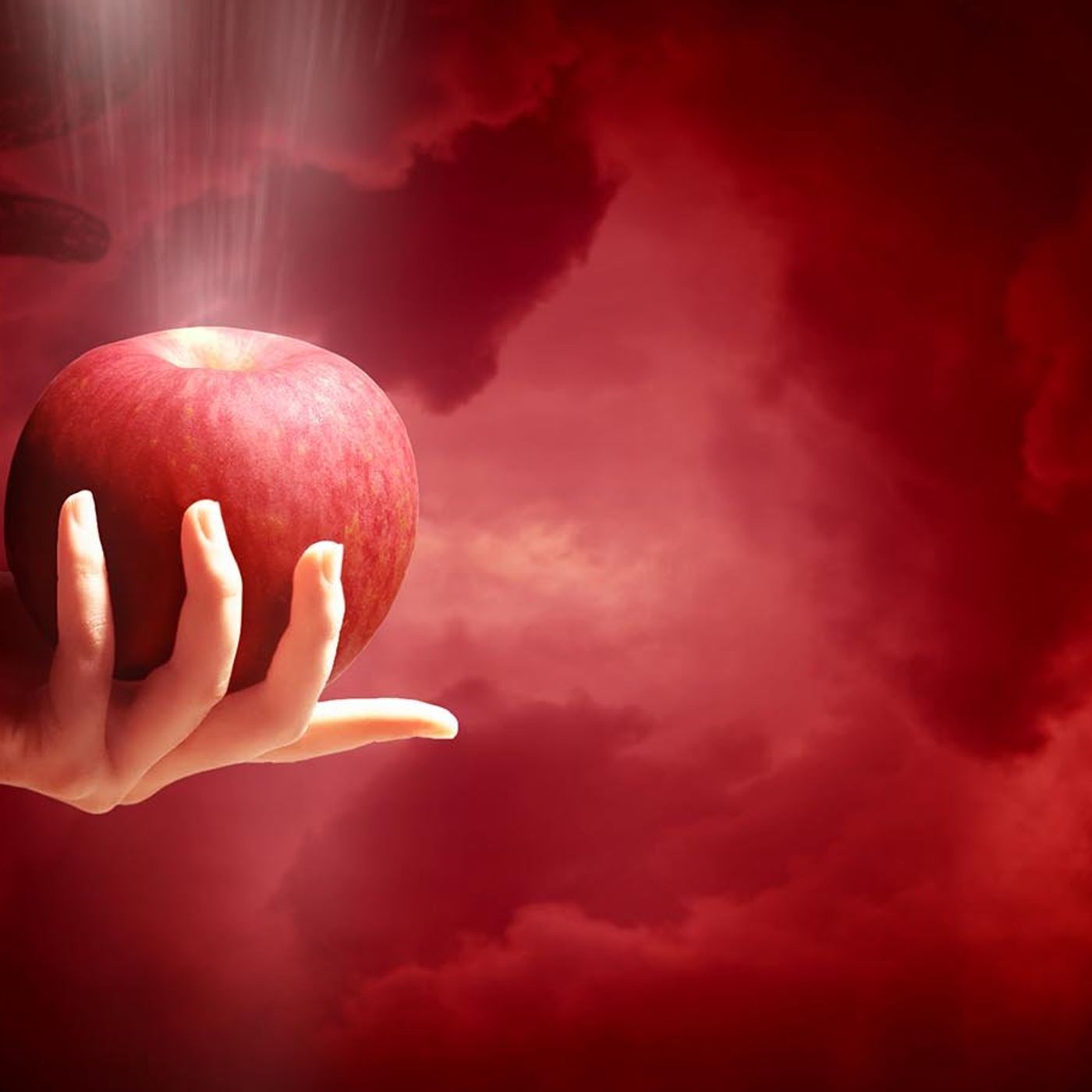 Understanding the Sin Nature cover art