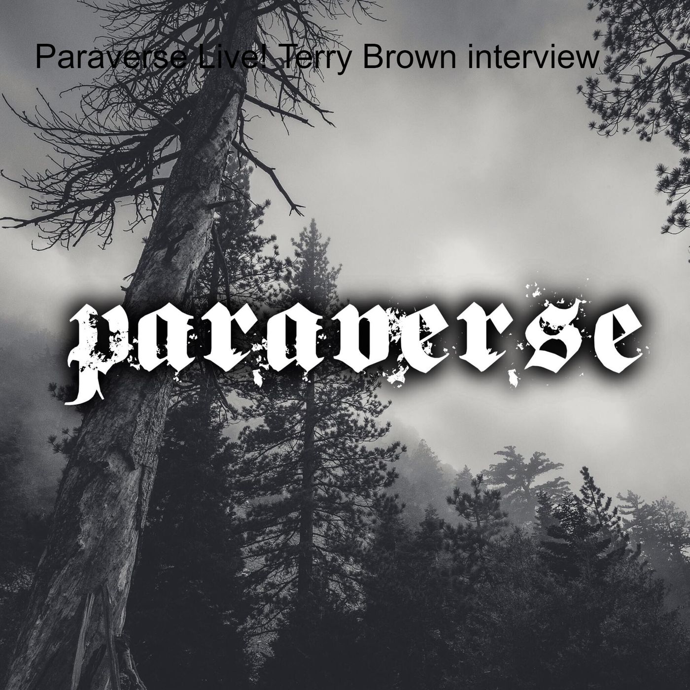 Paraverse - Live show and podcast series