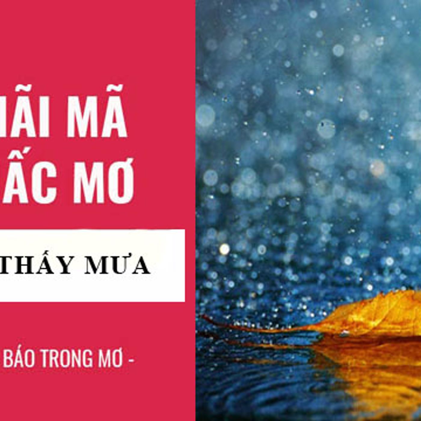 Mơ Thấy Mưa To: Giải Mã Giấc Mơ Và Con Số May Mắn episode artwork