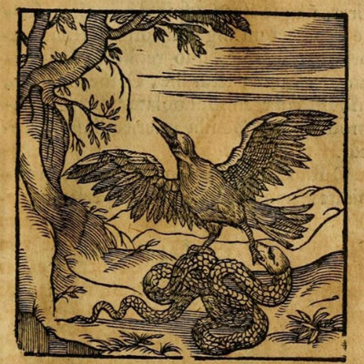 FFGF- The Serpent & The Eagle