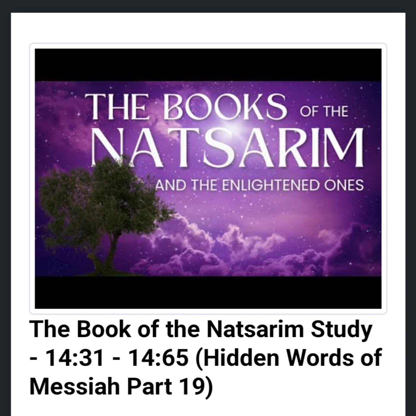 The Book of the Natsarim Study - 14:31 - 14:65 (Hidden Words of Messiah Part 19) episode artwork