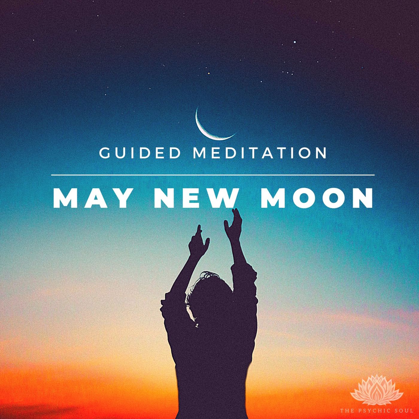 The Psychic Soul Meditations