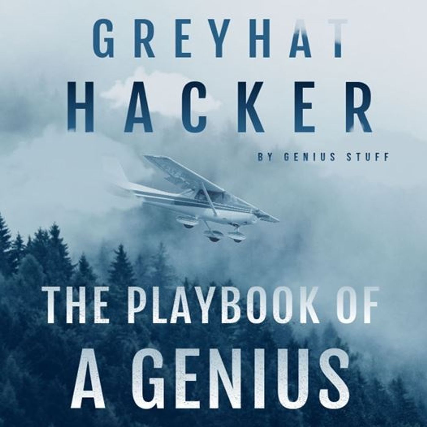 GREY HAT HACKER: THE PLAYBOOK OF A GENIUS