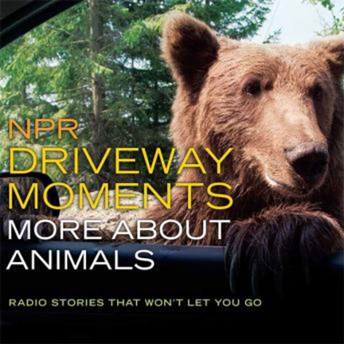 Listen to the Best Full Audiobooks in Biography & Memoir, Arts & Entertainment