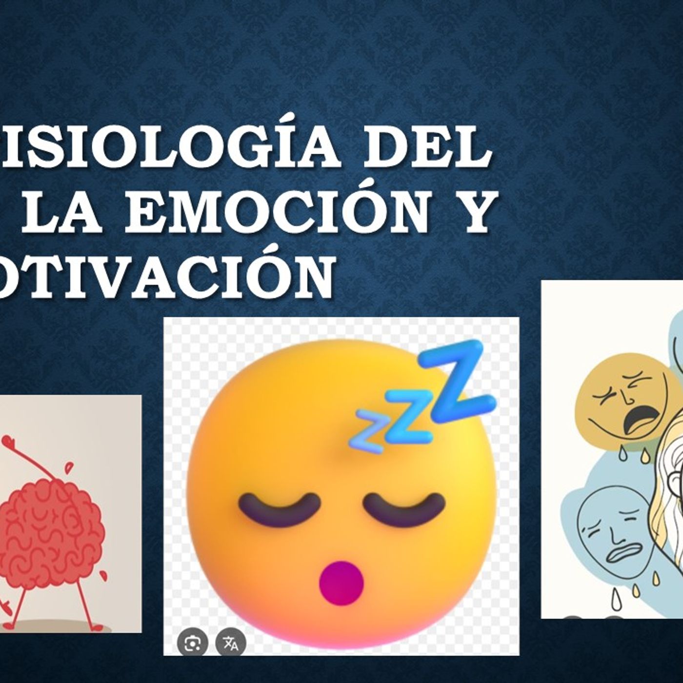 Psicofisiologia sueño emoción motivación