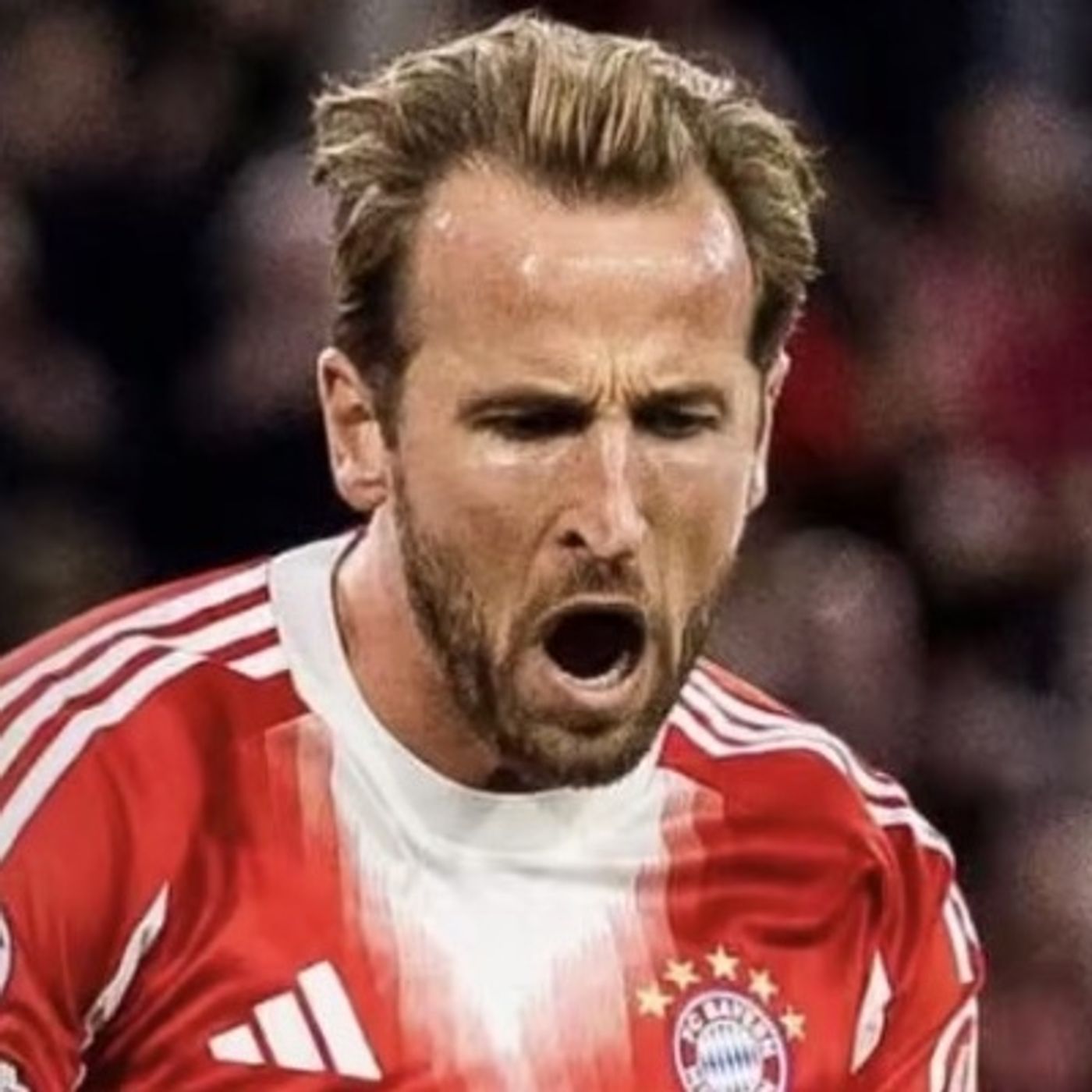 The Football Referee