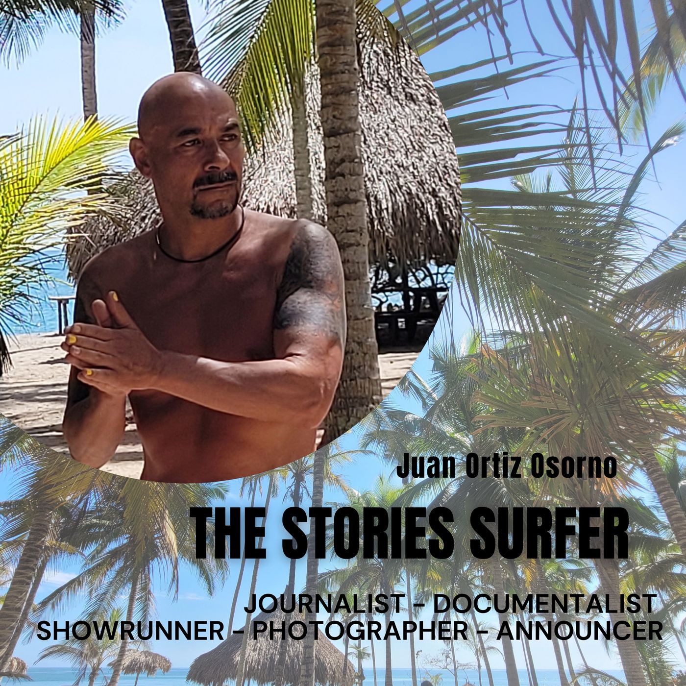 The Stories Surfer. cover art