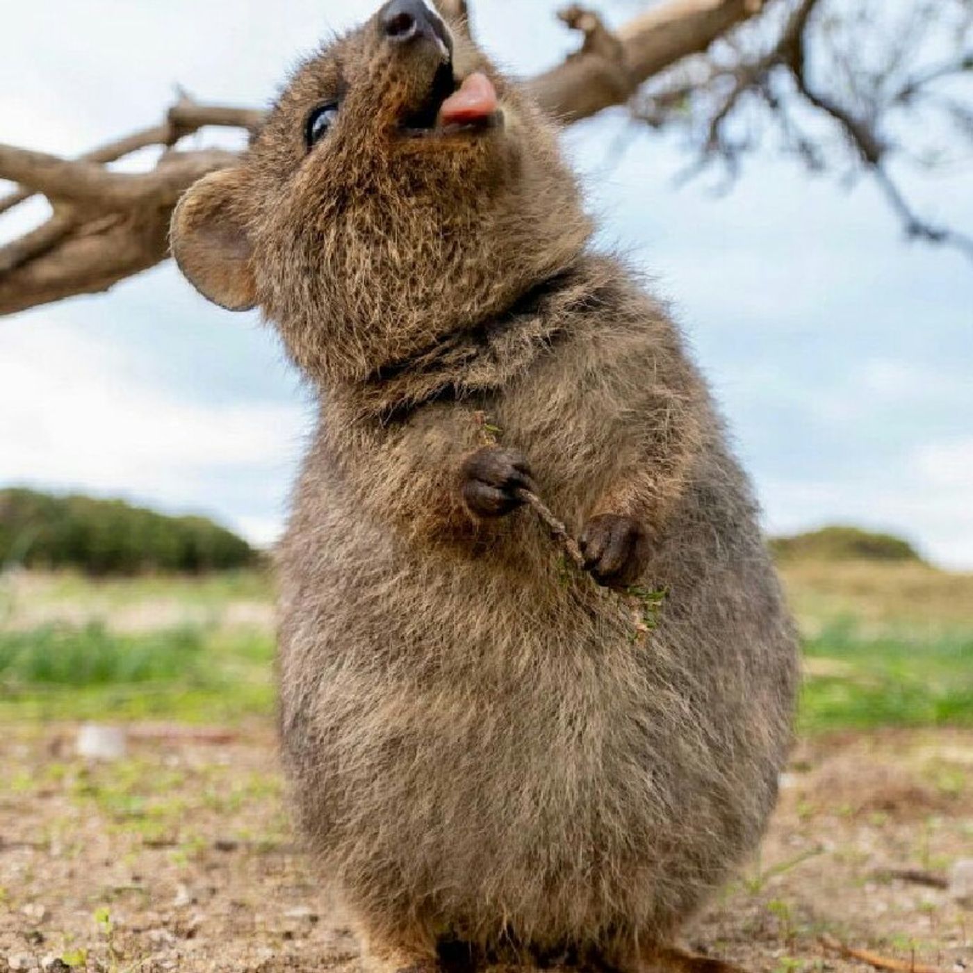 Kicking It With Lenny