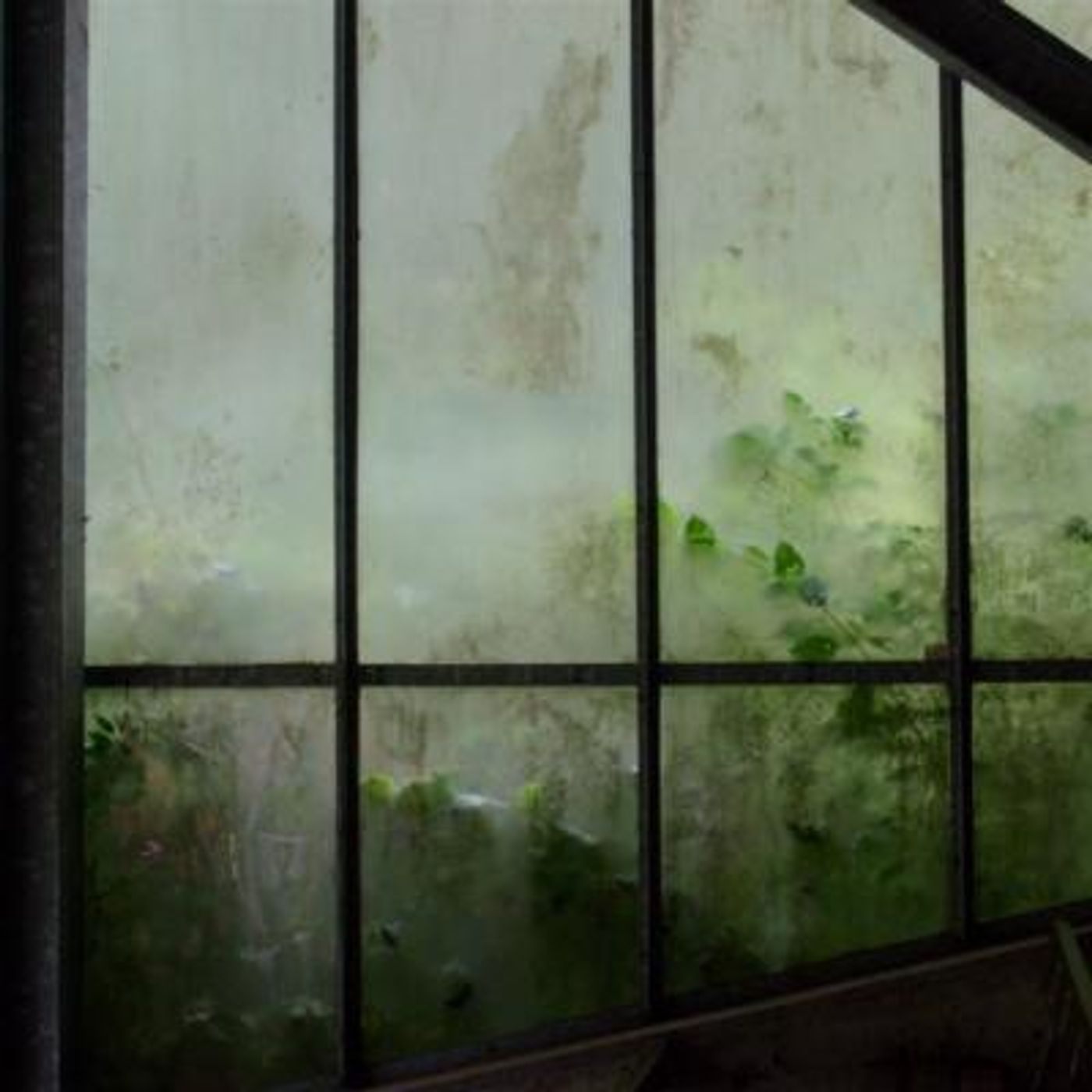 Sleep Sounds by Tmsoft