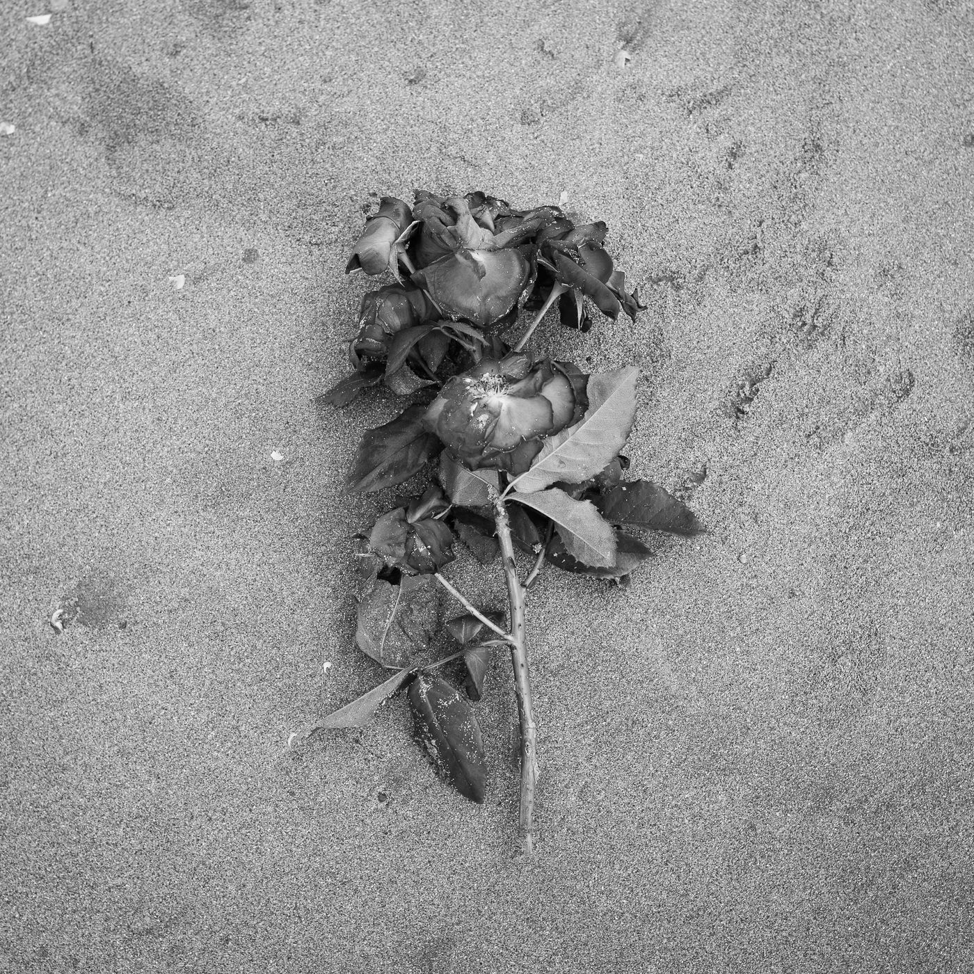 Fotografia Pensante