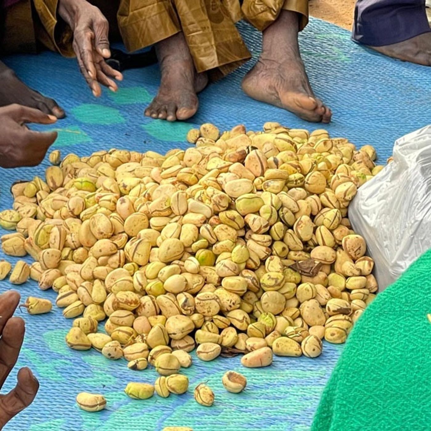 Les rites dans la célébration des mariages chez les Zarma-Songhaïs du Niger (Le Niger sur Kalangou) episode artwork