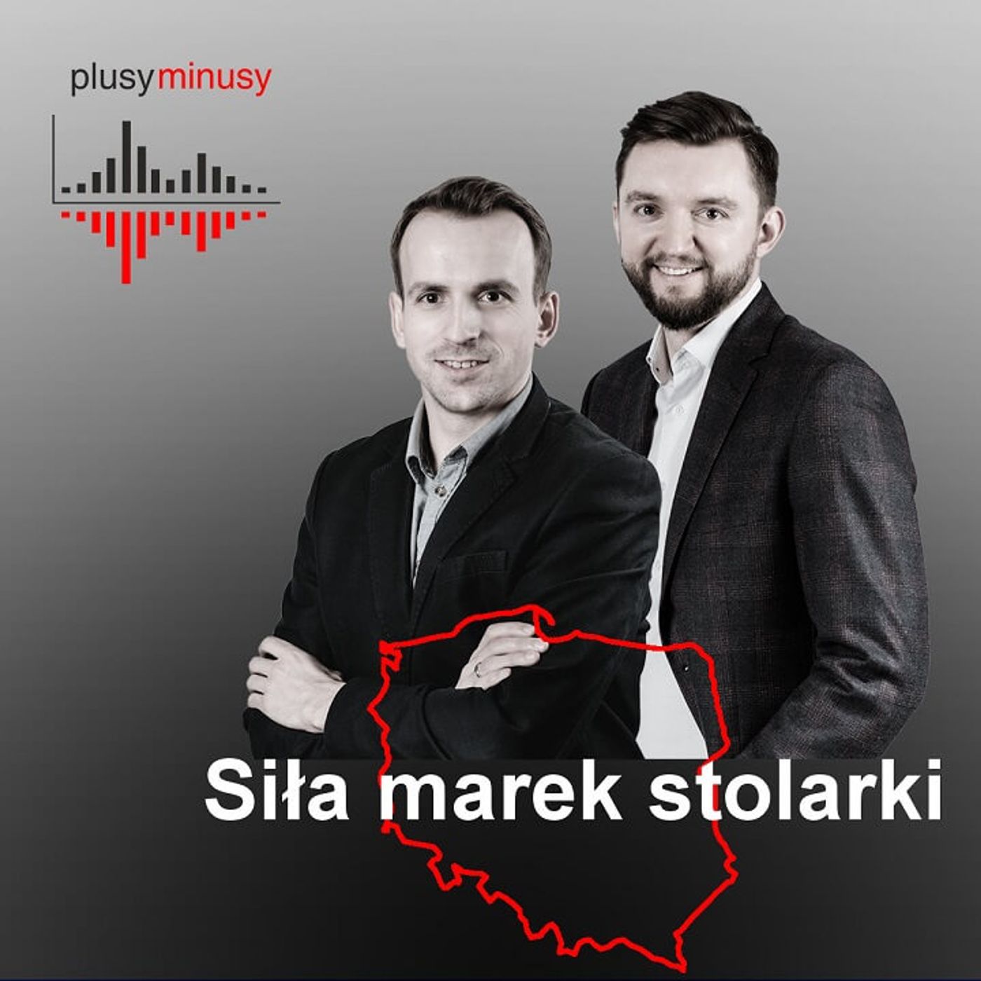 Plusy, minusy #18 – siła marek stolarki episode artwork