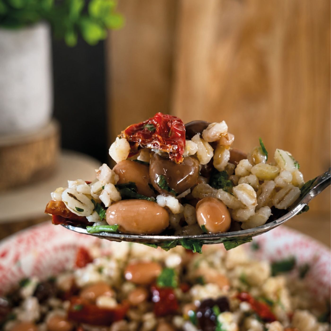 INSALATA DI FARRO E ORZO Con Borlotti, Pomodori Secchi E Olive episode artwork