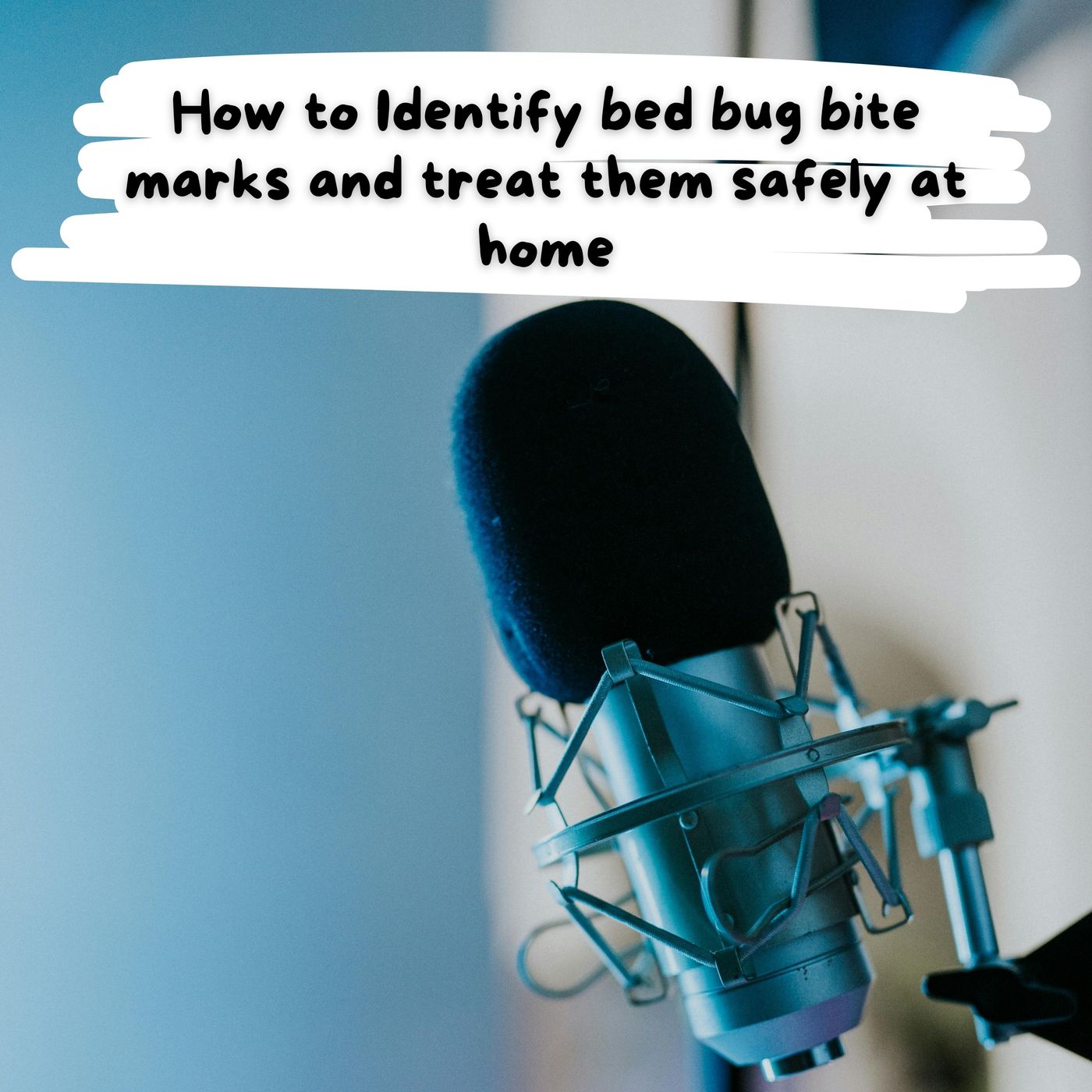 How to Identify bed bug bite marks and treat them safely at home episode artwork