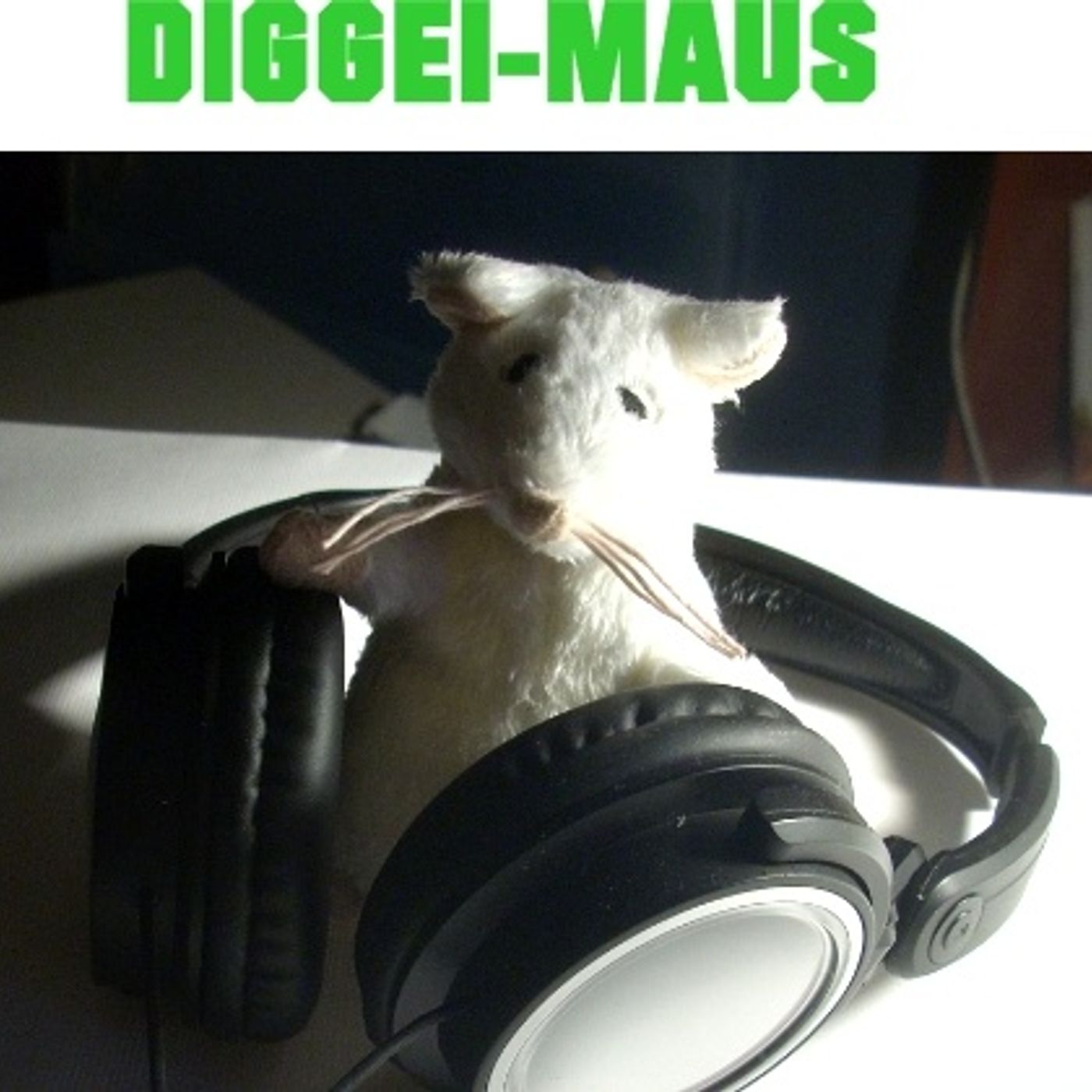 Musica   Folk e vita