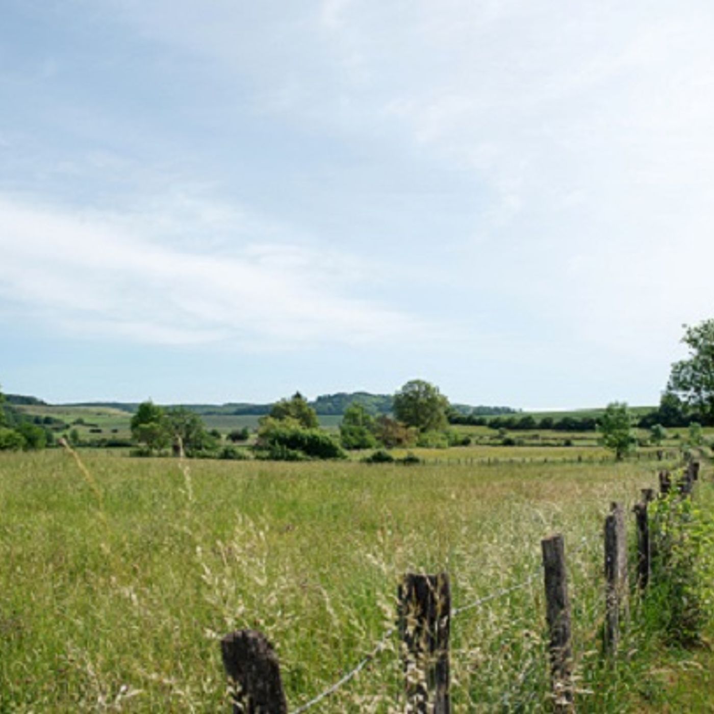 A lawyer buys a farm as a getaway (Joke of the Day) episode artwork