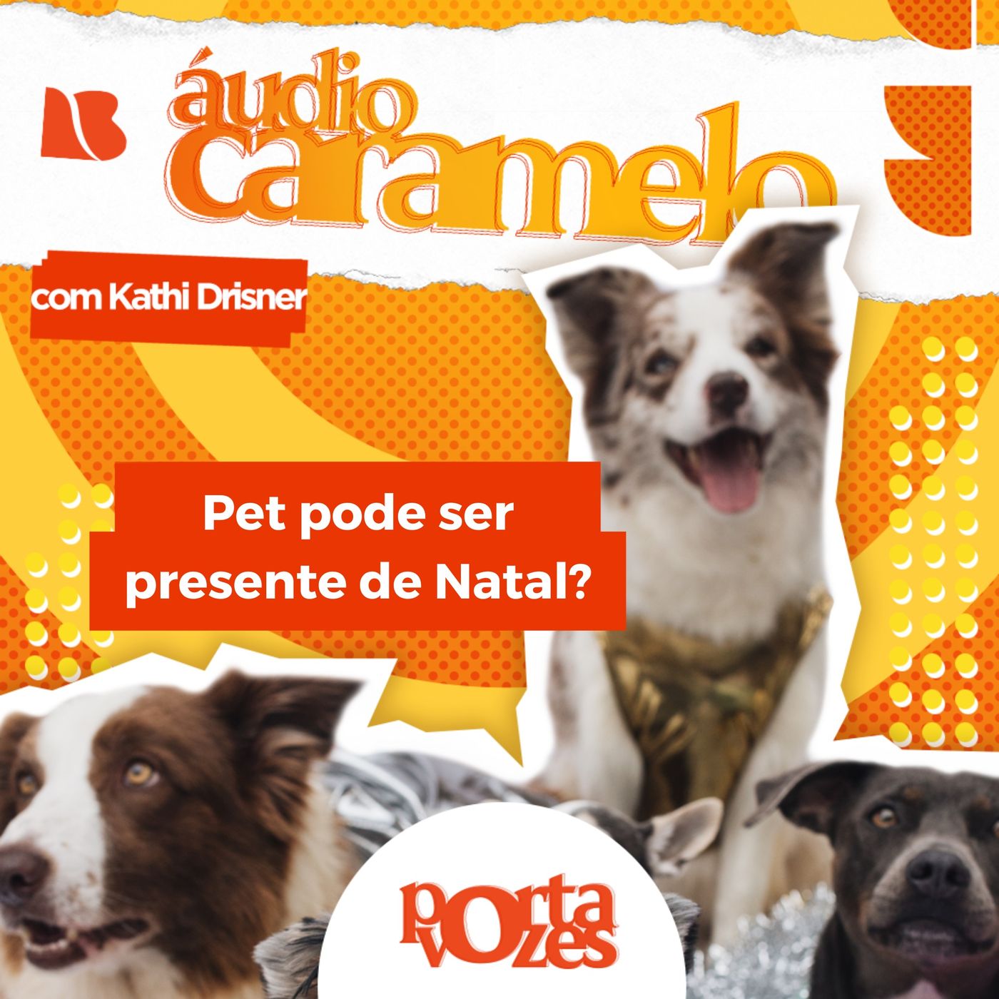 Pets de presentes? Animais não são brinquedos | Áudio Caramelo episode artwork