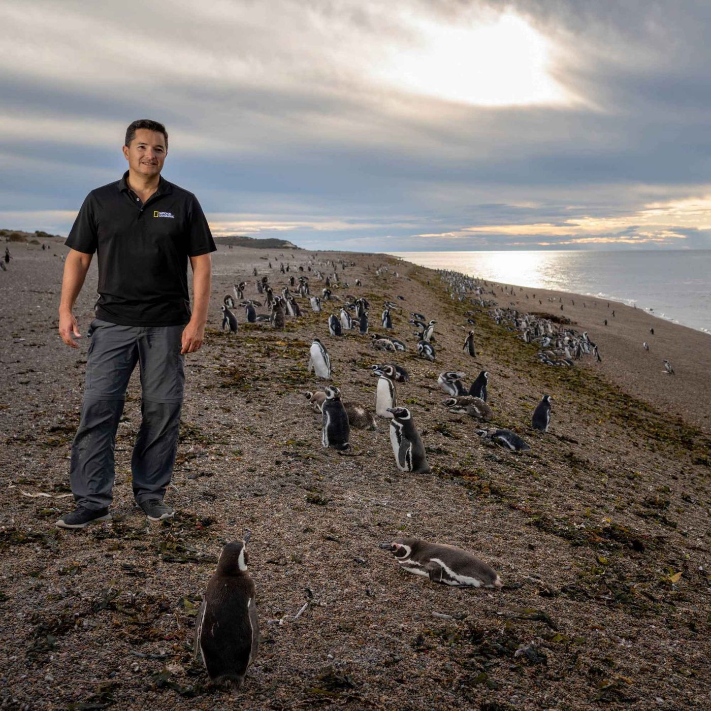 The Story presents: Planet Hope - the penguin guardian of Patagonia