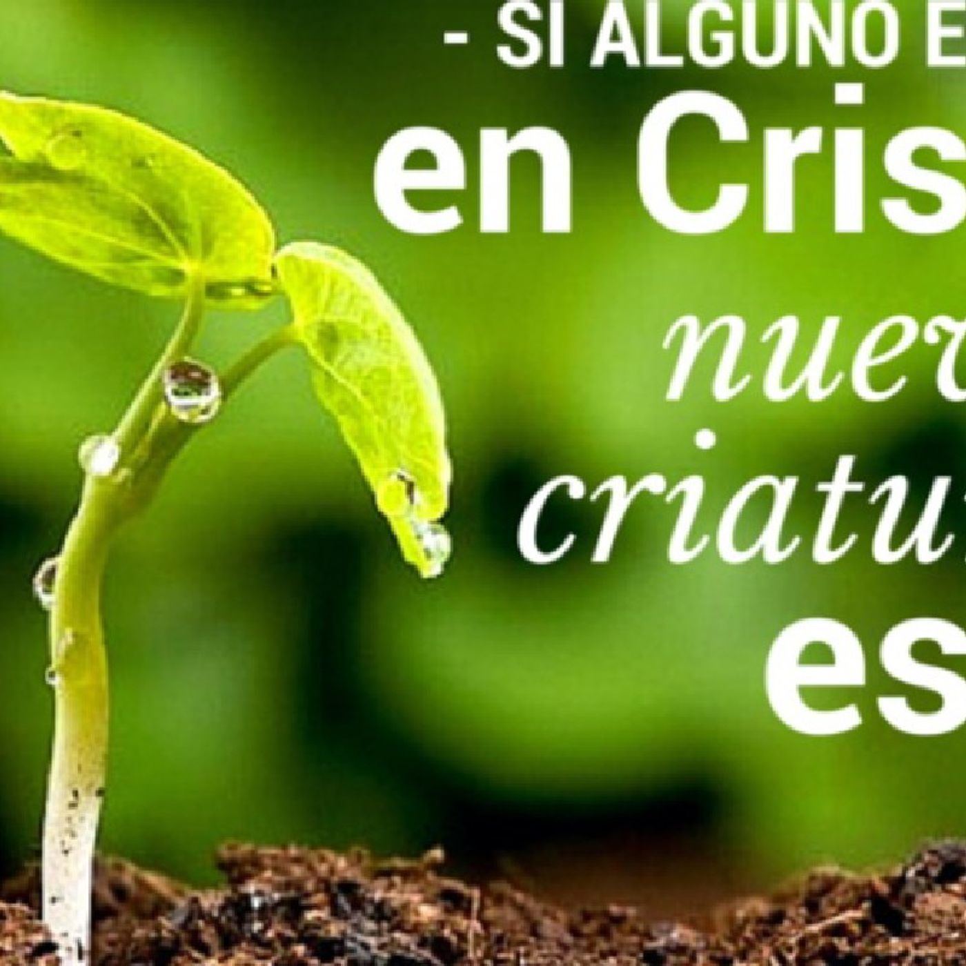 Radio Cristiana