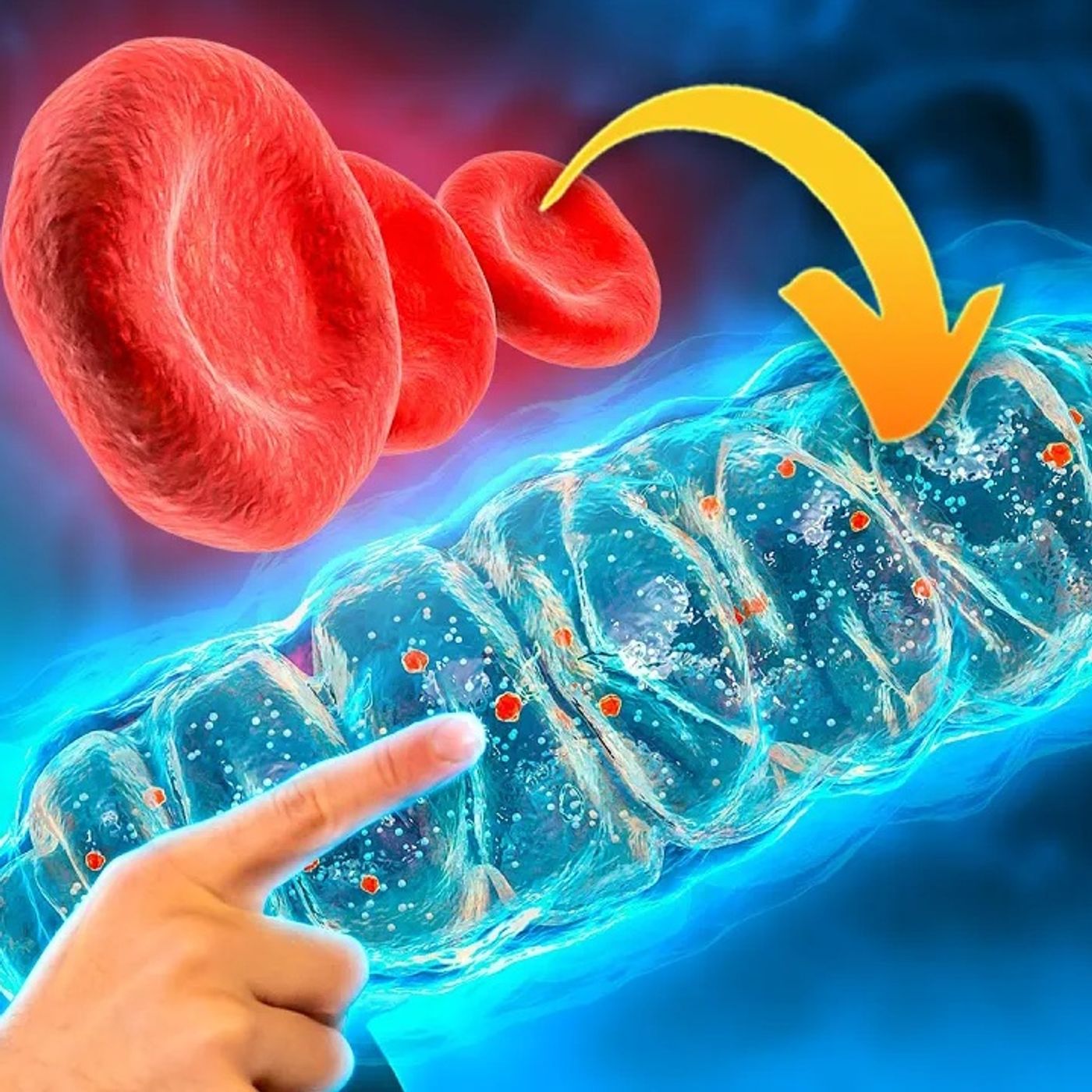 Tras analizar +1000 analíticas, ESTE es el MINERAL más importante para un DEPORTISTA