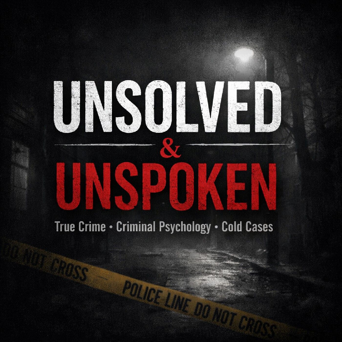 Unsolved & Unspoken cover art