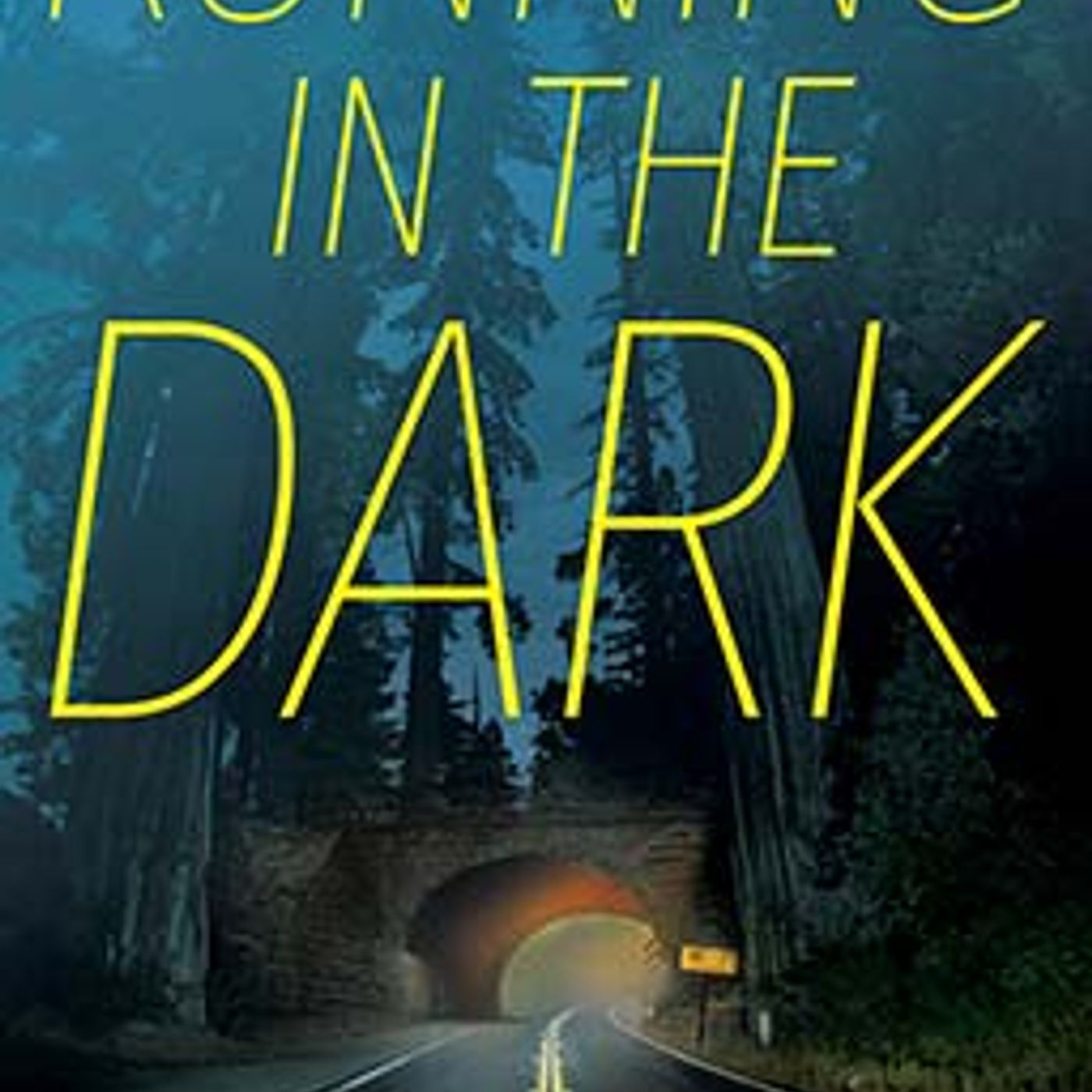 Running in the Dark by Sam Reaves episode artwork
