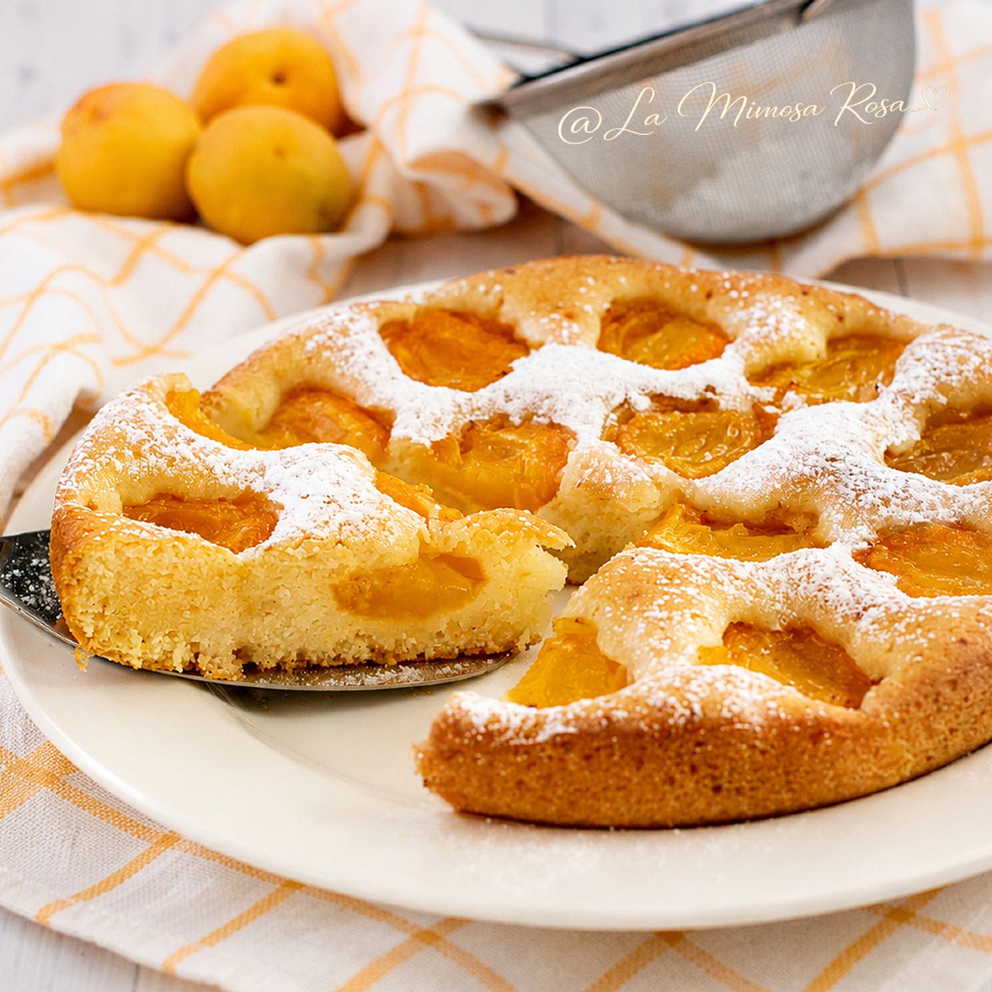 Focaccia dolce alle albicocche senza uova e lattosio episode artwork