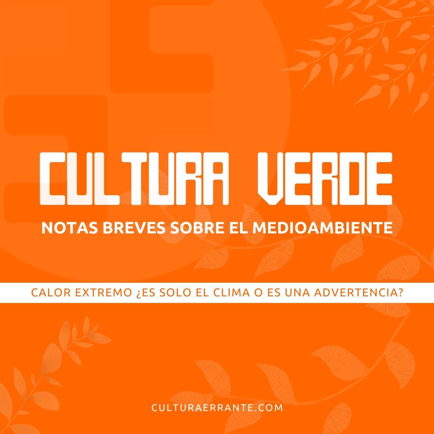 Cultura Errante