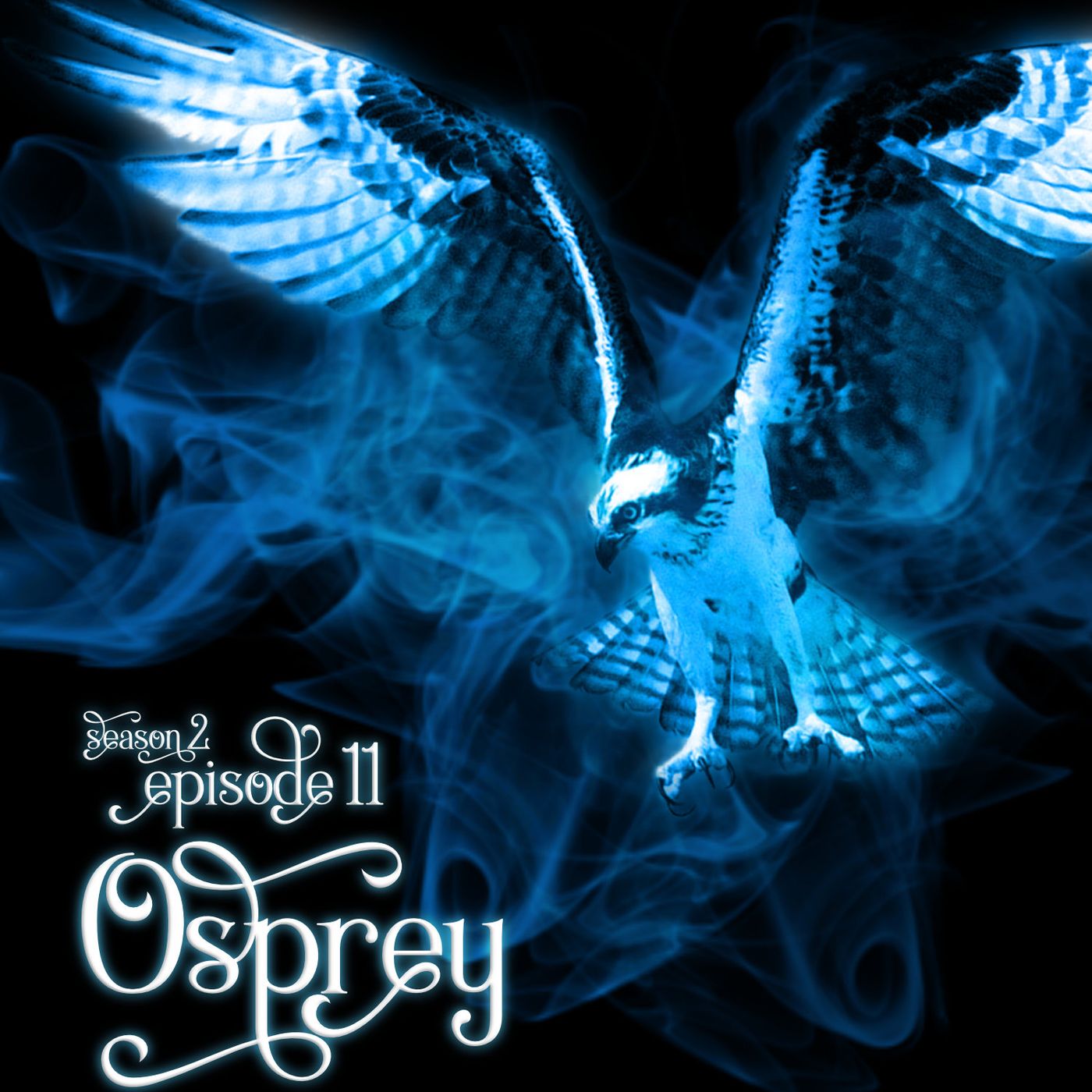 S2E11: Osprey S2E11: Osprey