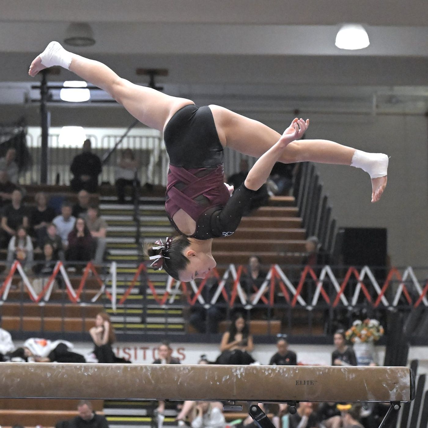Nora Terhaar, undistracted Prairie Ridge fly high at Conant episode artwork