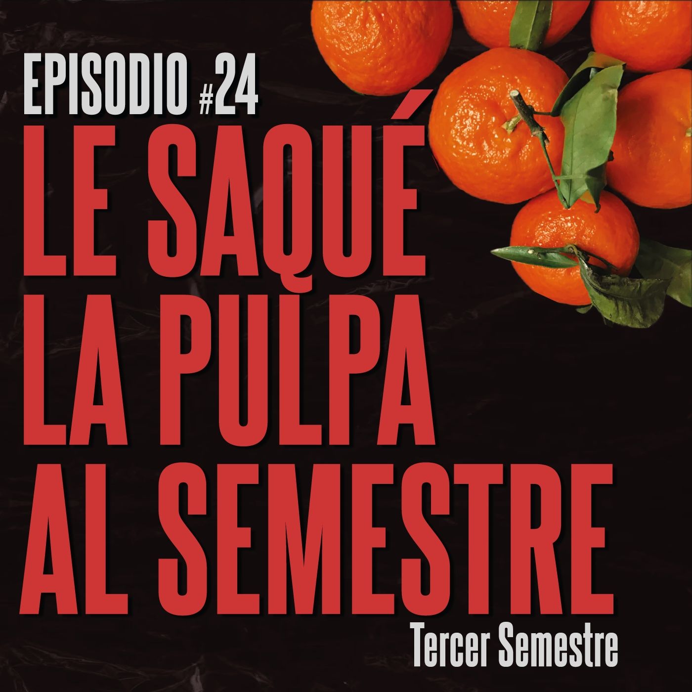 #24 Tercero: Le saqué la pulpa al semestre episode artwork