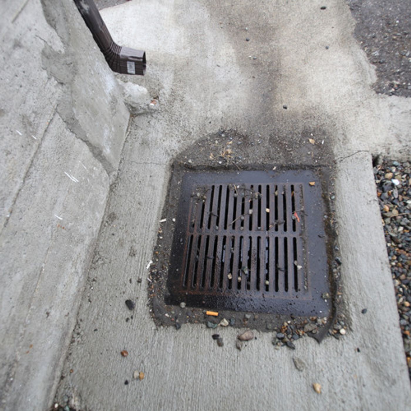 New Report Details Toxics in Puget Sound episode artwork