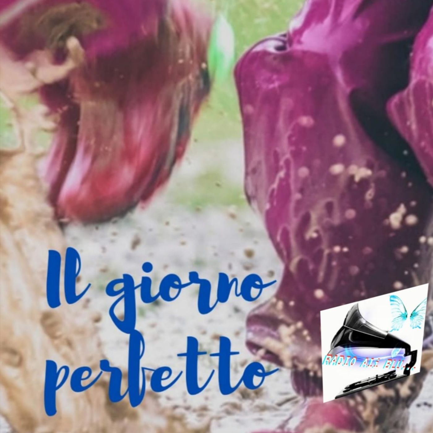Radio Ali Blu... Il podcast delle emozioni!