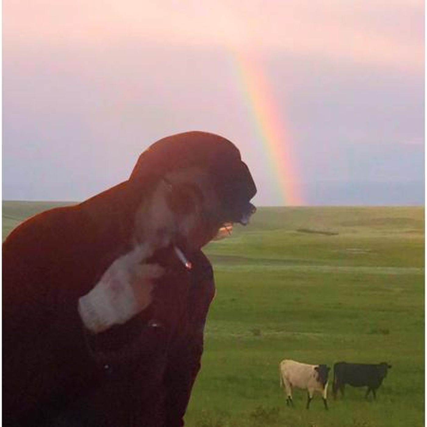 Radikalhindu Is On Air!