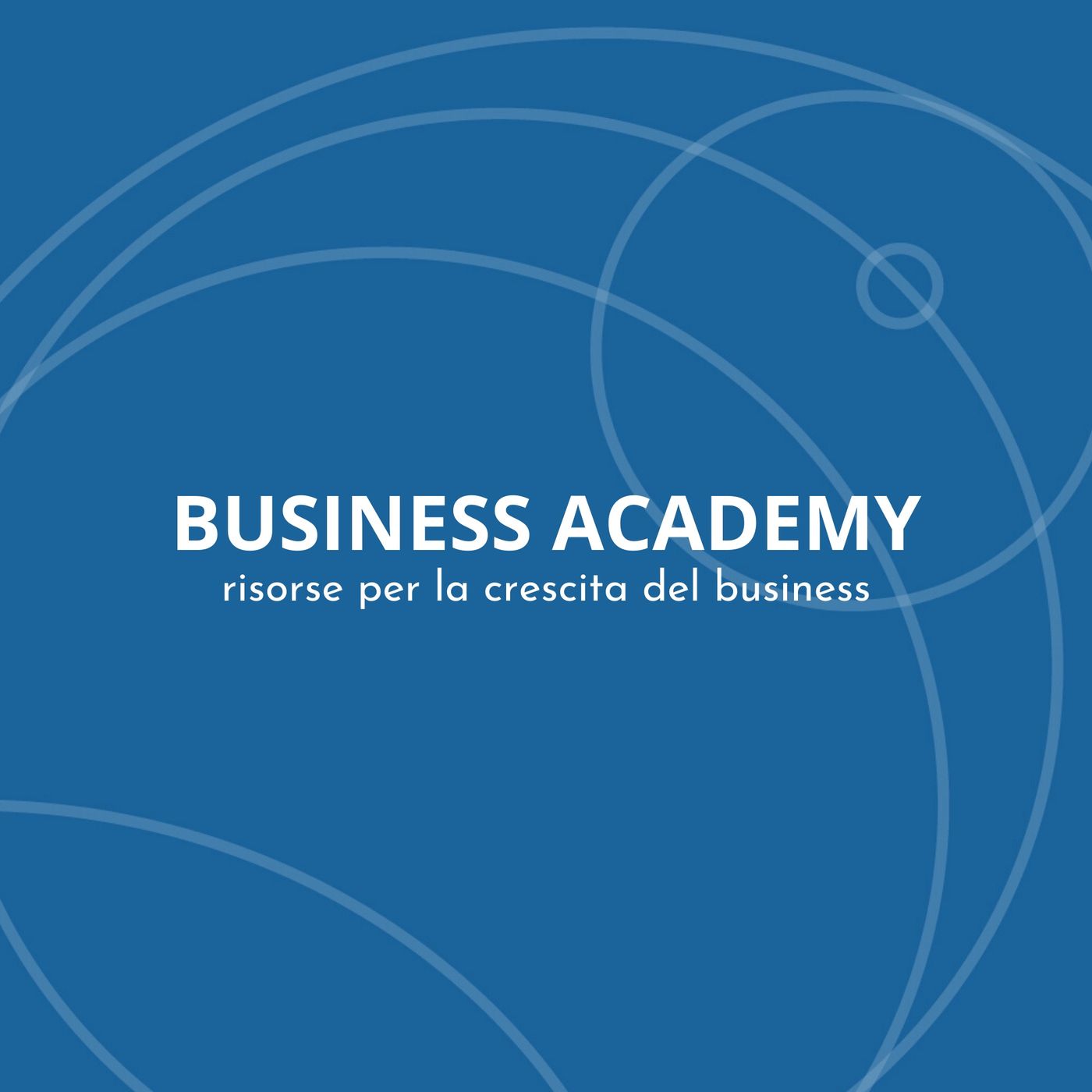 Business Academy