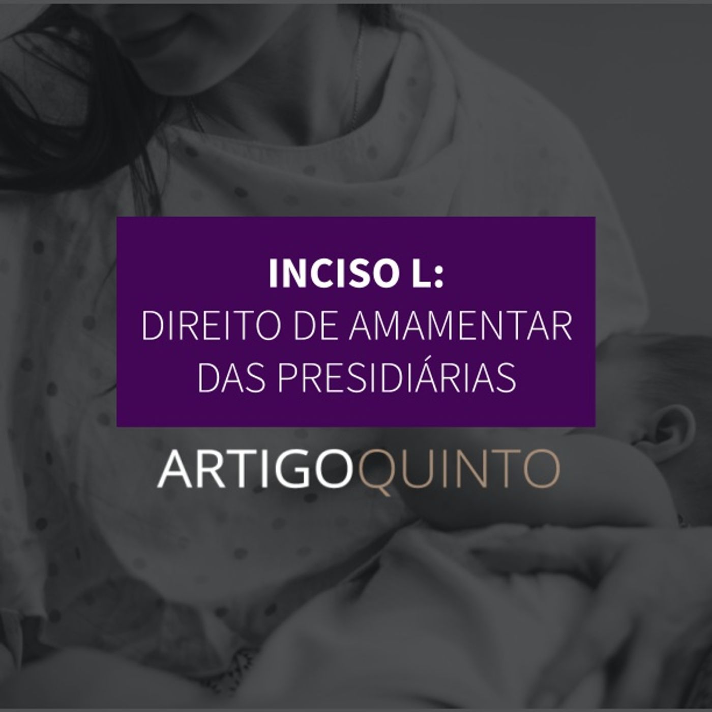 Inciso L: Direito de amamentação em presídios - Artigo 5º