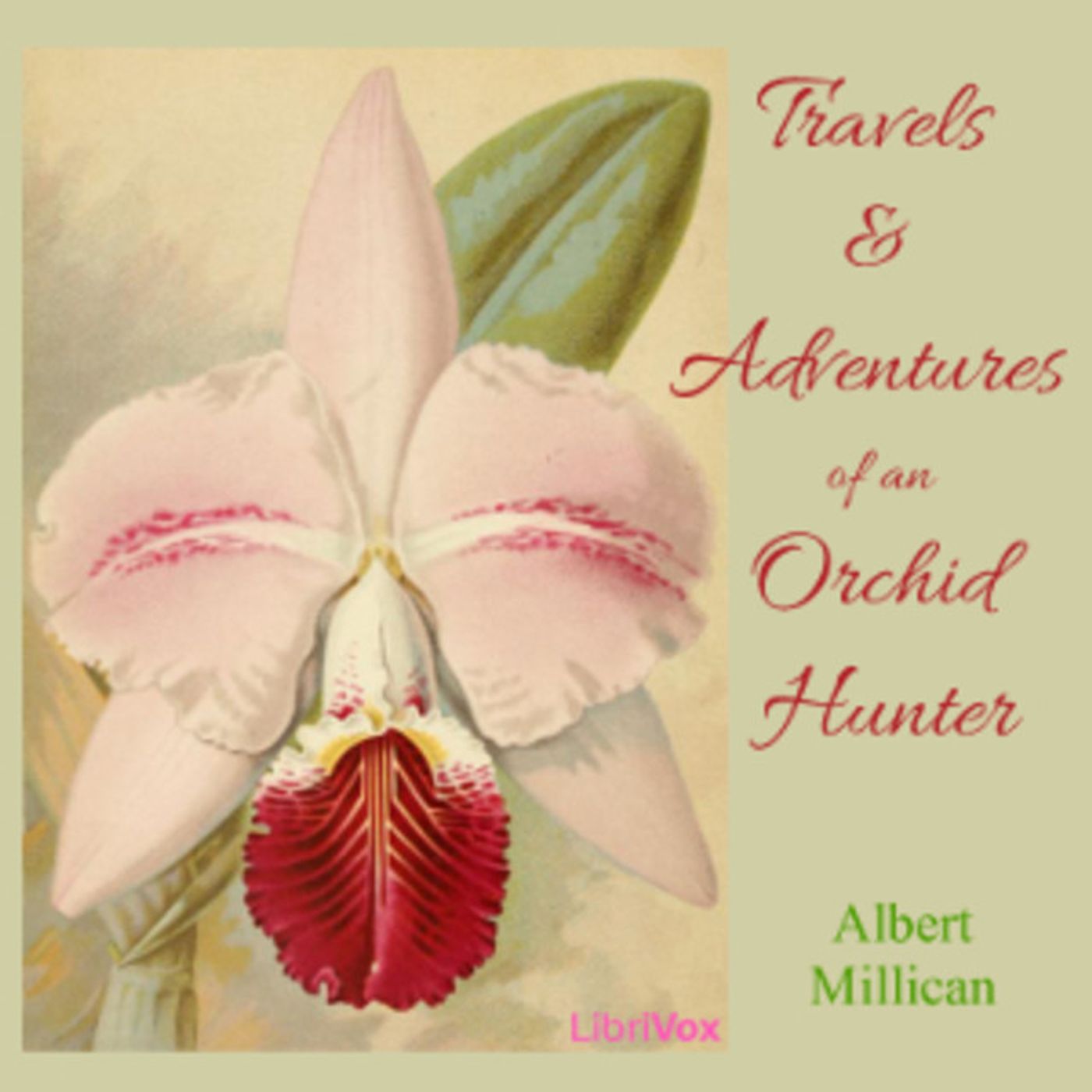 12 - Travels and adventures of an orchid hunter by Albert Millican episode artwork