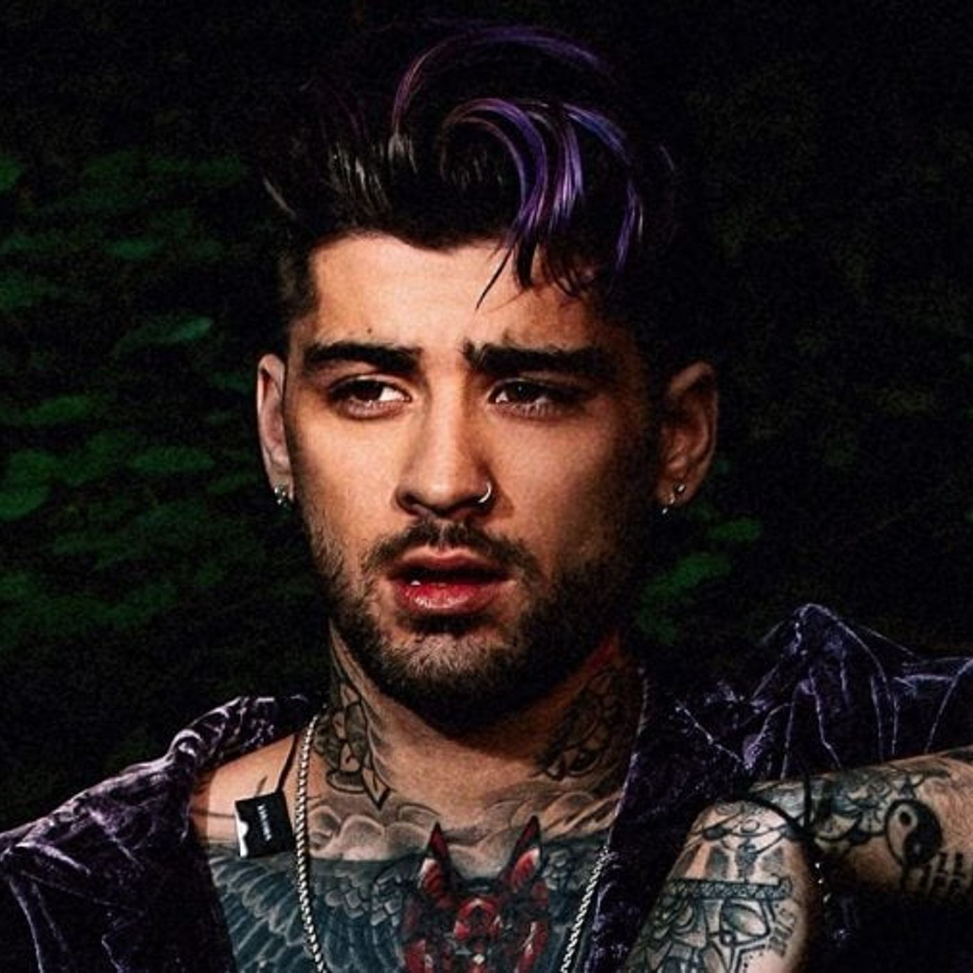 calzini e protezione del fandom