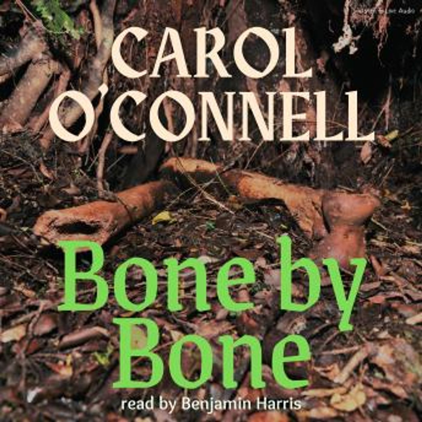 Get Latest Free Audiobooks in Mystery, Thriller & Horror, Police & Detective