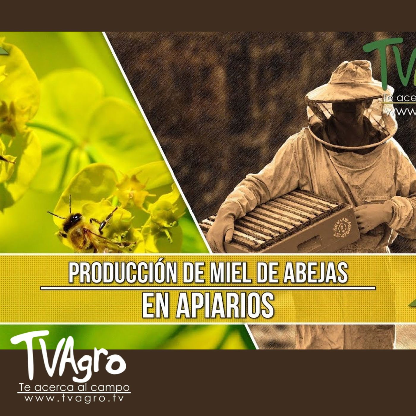 TV AGRO