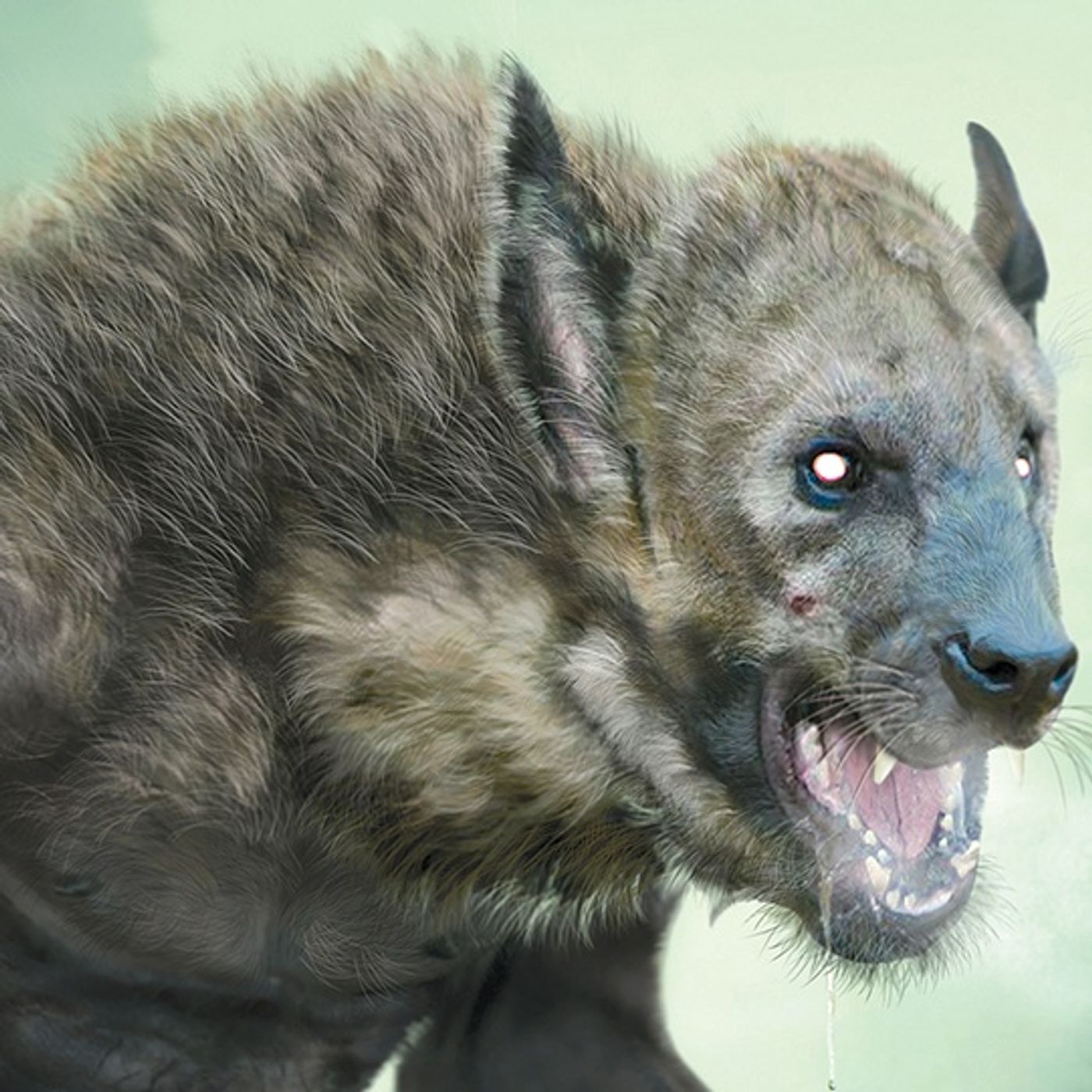 NeoBlaze's Dogman theory interview NeoBlaze's Dogman theory interview