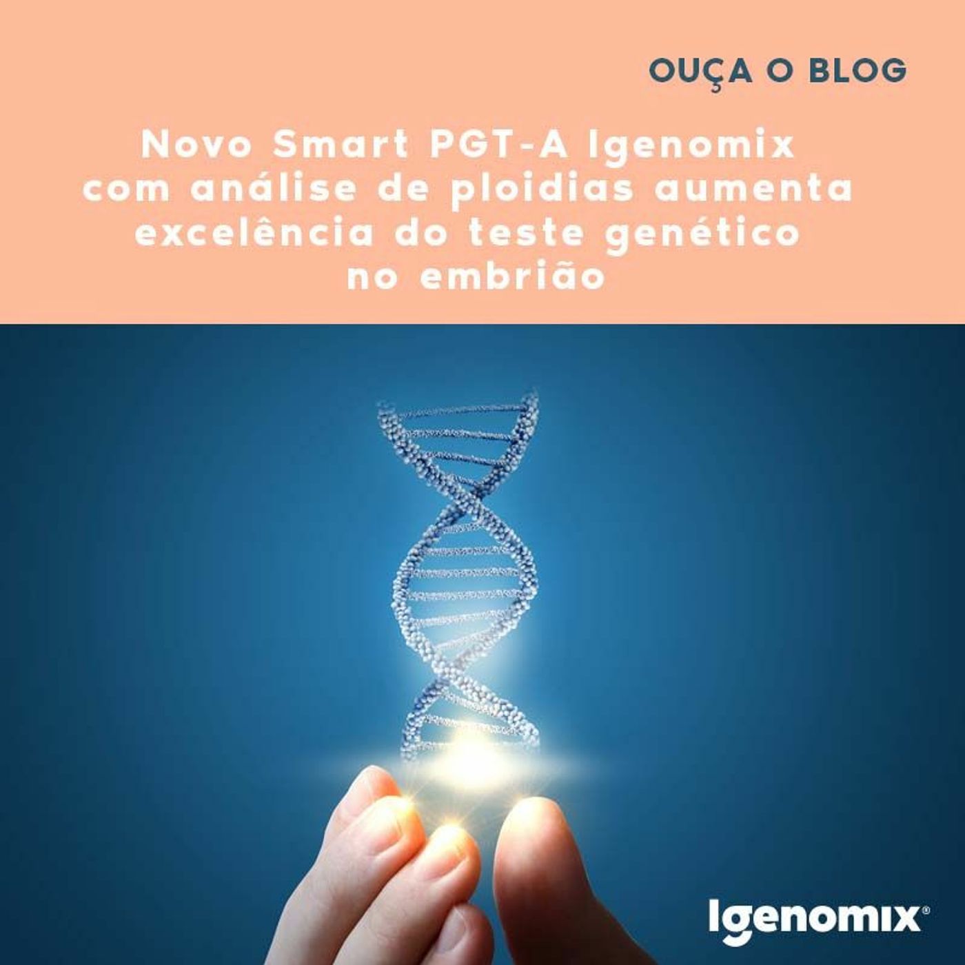 Nós tentantes, Projeto de Vida